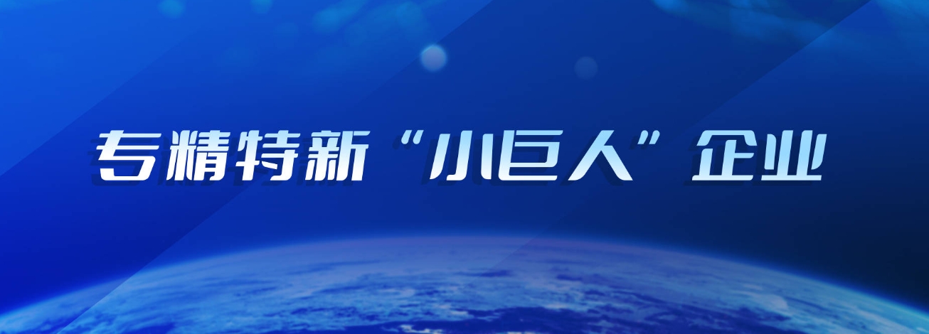 專(zhuān)精特新「小巨人」企業(yè)如何認(rèn)定