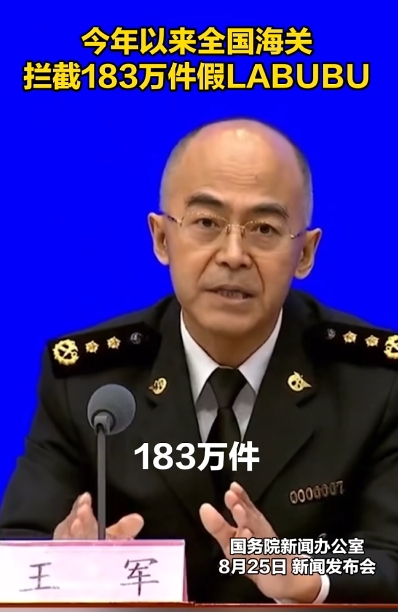 海關(guān)備案